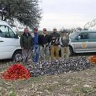 Fotos de torcaces 4