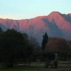 Fotos de torcaces 5