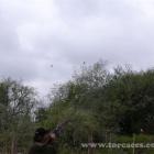 Fotos de torcaces 5