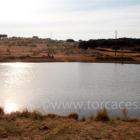Fotos de torcaces 5