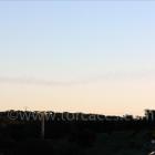 Fotos de torcaces 4