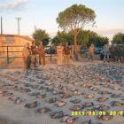 Fotos de torcaces 5