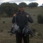 Fotos de torcaces 1