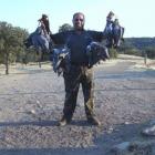 Fotos de torcaces 4