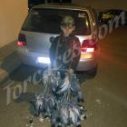 Fotos de torcaces 2