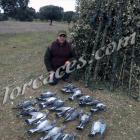 Fotos de torcaces 3