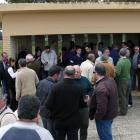 Fotos de torcaces 5