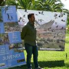 Fotos de torcaces 5