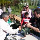 Fotos de torcaces 5