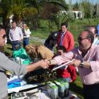 Fotos de torcaces 5