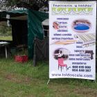 Fotos de torcaces 4