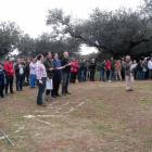 Fotos de torcaces 6