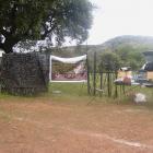 Fotos de torcaces 3
