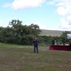 Fotos de torcaces 5