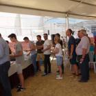 Fotos de torcaces 5