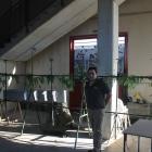 Fotos de torcaces 4