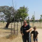 Fotos de torcaces 5
