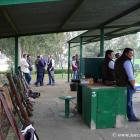 Fotos de torcaces 5