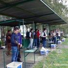 Fotos de torcaces 6