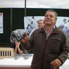 Fotos de torcaces 5