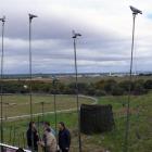 Fotos de torcaces 6