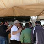 Fotos de torcaces 6