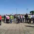 Fotos de torcaces 6