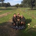 Fotos de torcaces 1