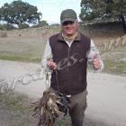 Fotos de torcaces 1