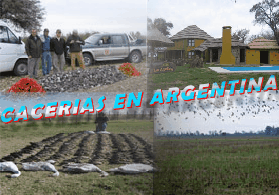 Cacerias en Argentina