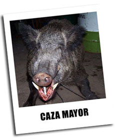 fotos de caza mayor