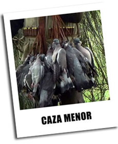 fotos de caza menor