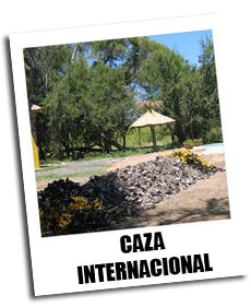 Caza Internacional