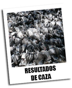 Resultados de Cacer&iacute;as