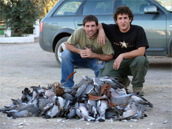 Percha-de-palomas-en-Sierra