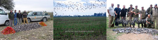 argentina_tres argentina_tres