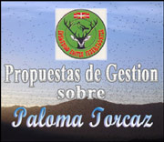 propuesta de gestion de paloma torcaz