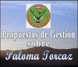 propuestas de gestion sobre la paloma torcaz