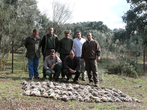 Caceria de conejos 2008