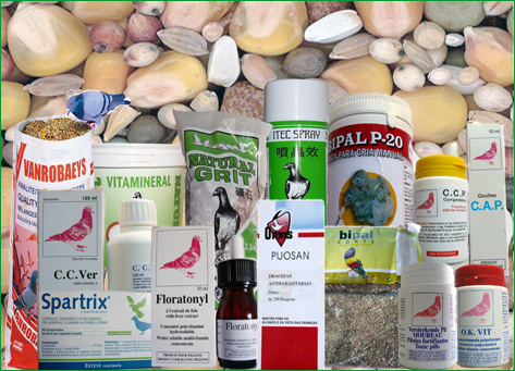 alimentacion y medicamentos en la cria para paloms alimentacion y medicamentos en la cria para paloms