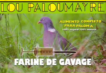 harina para pichones de paloma