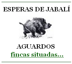 esperas de jabali esperas de jabali