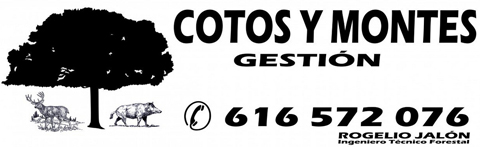 gestionmontesycotos