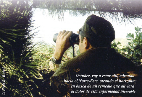 oteando la migracion de torcaz