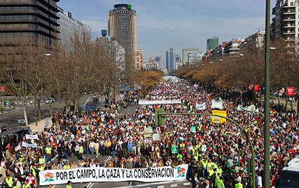 manifestacion