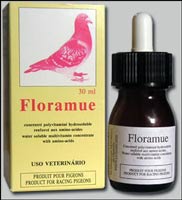 FLORAMUE