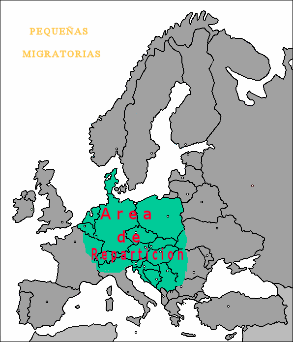 mapa pequeñas migratorias