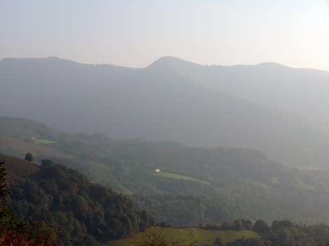 paisaje de paso de la migracion