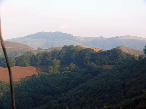 paisaje de paso de la migracion