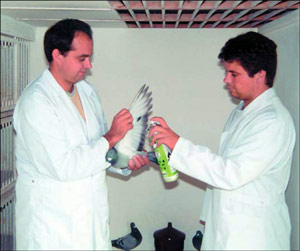 palomar antiparasitos 
